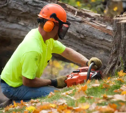 tree services Sidon